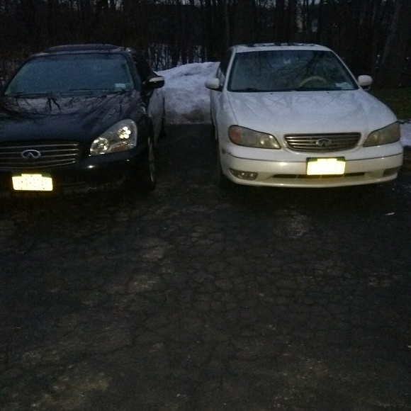 Meet your Posher, Elzra - Picture 1 of 1